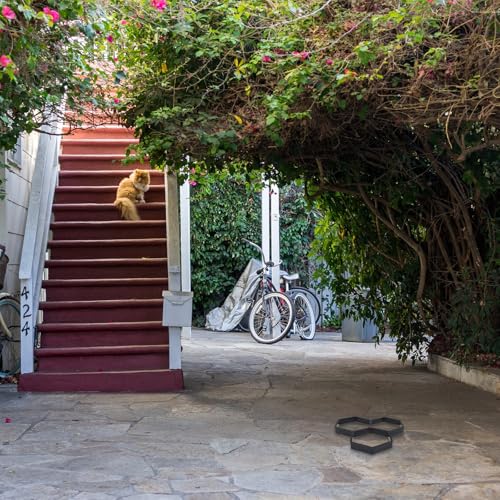 Molde para baldosas portátil para crear pavimentos de estilo artístico en el patio 5