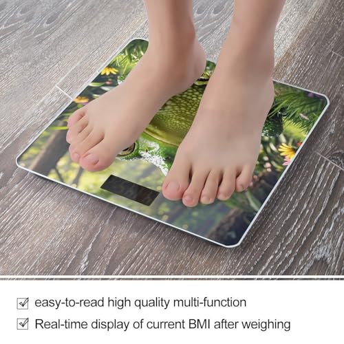Báscula digital para baño de vidrio templado Frog miniatura 5