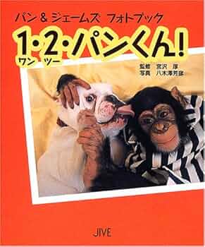 513MVDPC59L._AC_UF350,