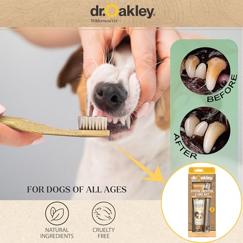 Image of Dr. Oakley Dog Toothpaste Chicken Flavor Enzymatic Dental Kit with Toothbrush & Finger Brush Vet Recommended - 3-Piece Set