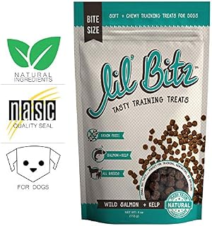 Lil' Bitz Wild Salmon + Kelp Training Treats (4 oz)