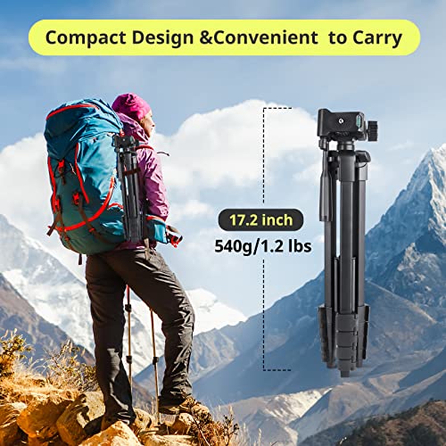 Image of Sensyne 64 inch Camera Tripod Stand for iPhone & iPad, Phone Holder with Remote | 64-inch tripod stand, fits iPhone and iPad, wireless remote, stable phone holder for photos, video and live streaming