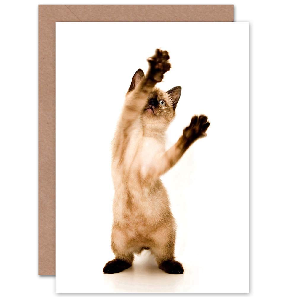 Artery8 Siamese Kitten Cat Birthday Greeting Card