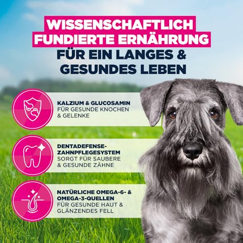 Eukanuba Hundefutter Trocken mit frischem Huhn für kleine Rassen, Premium Trockenfutter für reife Hunde, 3 kg