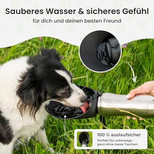 Sogoro Hundetrinkflasche für Unterwegs - 700ml - auslaufsicher & robust aus Edelstahl - Tragbare Haustier Wasserflasche, Hundeflasche to go, Hundetrinkflasche für Unterwegs für alle Hunde