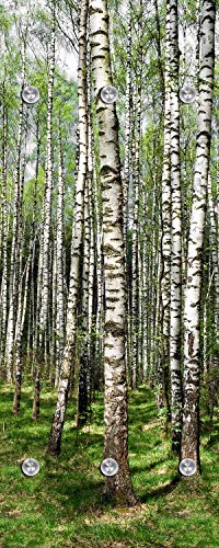 Cuadros Lifestyle - Perchero de pared (50 x 125 cm)