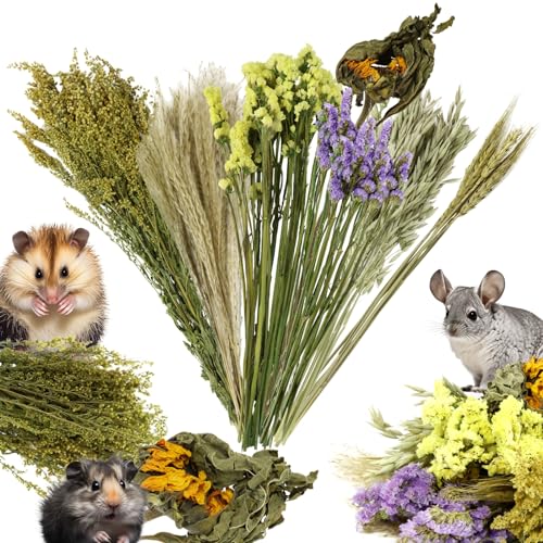 Vokoy Natural Flower & Herb Bedding Habitat Decor, Flower Hamster Bedding Cage Accessories Natural Theme Cage Decoration For Small Animals Gerbils Mice Parrots Hedgehogs Chinchillas Squirrels cover