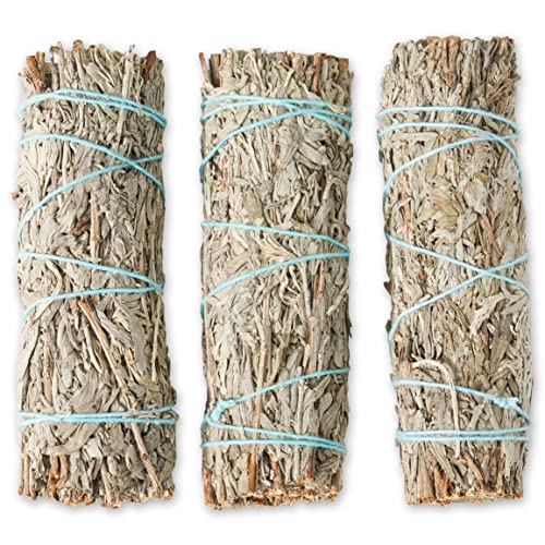 Blue Sage Smudge Sticks 4 Inch | Blue Sage Smudging Wands | Wholesale Sage Bulk Sage Kit | Salvia Blanca para Limpiar | Sustainably Sourced California Blue Sage