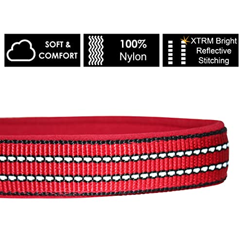 Collar para perro pequeño Kruz azul con ajuste reflectante miniatura 3