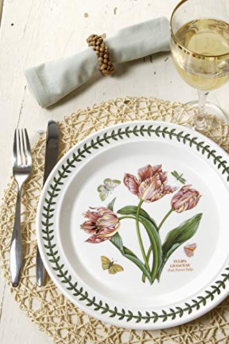 Portmeirion Botanic Garden Dinner Plate | Set Of 6 Dinner Plates | Assorted Floral Motifs | Dishwasher, Microwave, & Oven Safe | 10.5 Inch | Made In England #TOP6