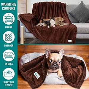 PetAmi-WATERPROOF-Dog-Blanket-For-Bed-XL-Dog-Pet-Blanket-Couch-Cover-Protection-Sherpa-Fleece-Leakproof-Bed-Blanket-for-Crate-Kennel-Sofa-Furniture-Protector-Reversible-Soft-Plush-80x60-Brown-Brown - Cucciolini Doodles   PetAmi-WATERPROOF-Dog-Blanket-For-Bed-XL-Dog-Pet-Blanket-Couch-Cover-Protection-Sherpa-Fleece-Leakproof-Bed-Blanket-for-Crate-Kennel-Sofa-Furniture-Protector-Reversible-Soft-Plush-80x60-Brown-Brown