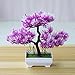 Produktbild LIXIFF Künstliche Bonsai Simulation Topfpflanze Mini Pine Tree Home Office Dekoration Simulation Topfpflanze, Pflaume