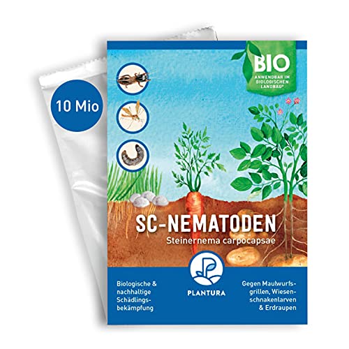 Plantura SC-Nematoden gegen Maulwurfsgrillen Wiesenschnaken & Erdraupen 10 Mio für 20 m