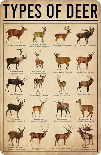 Image of Smilelife Deer Gifts Types of Deer Vintage Tin Sign for Home Office Farmhouse Man Cave Classroom Wall Art Decor 8x12 Inch (3169)