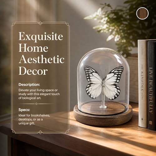 Wugakio Glass Taxidermy Butterfly Specimen Shadow Box, Butterfly Gifts for Women Girls with Glass Cover, Butterfly Decor for Bedroom Office Living Room Desk (Prioneris thestylis) — view 6