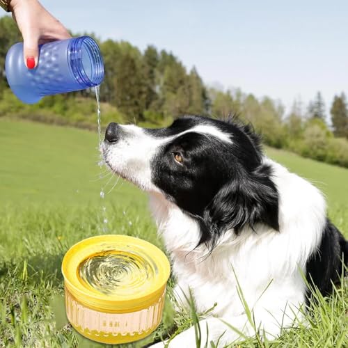 Dispensateur d'eau de chat récipient grande capacité 1800ml