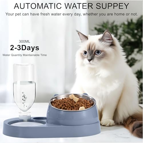 Futterstation Katzen mit Automatischer Wasserflasche 2 In 1 Erhöhte Schüssel Aus Edelstahl Anti-Erbrechen Katzennäpfe für Kleine, Mittelgroße Katzen Hunde Blau