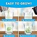 National Geographic Jumbo Crystal Growing Kit - Grow Your Own Giant Glow in The Dark Crystal in a Few Days, Science Kit, Grow Crystals for Kids, STEM Toys (Amazon Exclusive)