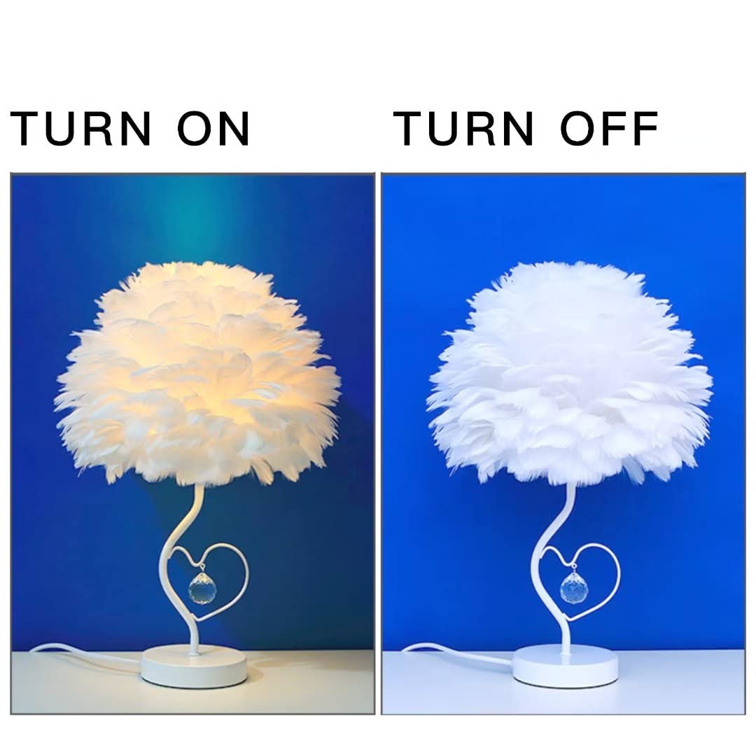 View 5