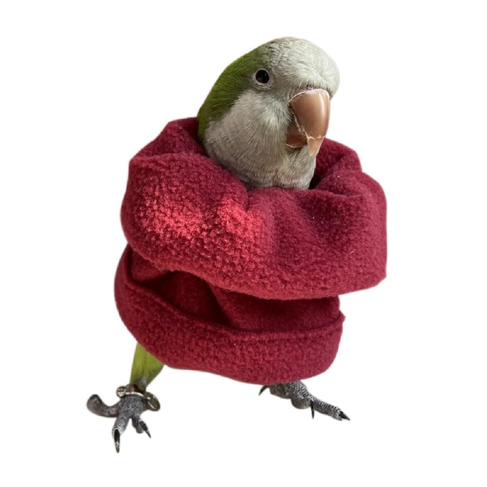 PARREN Parrot, Bird Safe and Practical Cotton Collar to Prevent Bites and Licking Wounds, to Help heal (3XL), Fuchsia