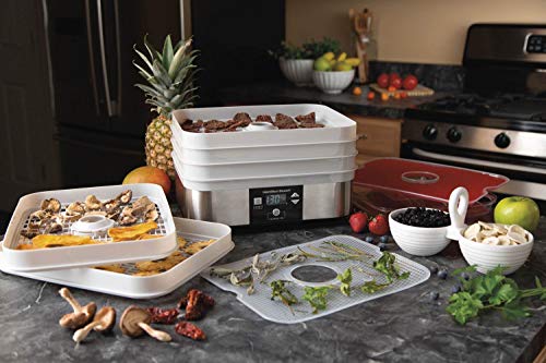 Catálogo de Deshidratador de Alimentos Hamilton Beach los más solicitados. 8 Deshidratador de Alimentos Hamilton Beach marca Hamilton Beach (2)