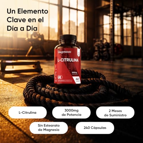 Miniatura 2 de L Citrulina 3000mg, 240 Cápsulas Veganas Para 2 Meses - Suplemento Pre Y Post Entrenamiento, Fermentación Biotecnológica Y Natural, Sin Estearato De Magnesio, Alérgenos Ni Ogm