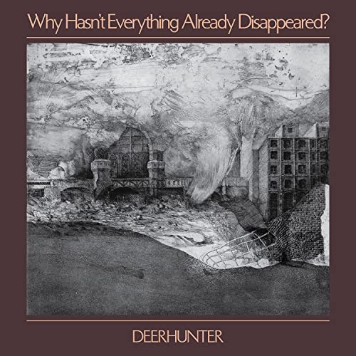 Why Hasn't Everything Already Disappeared? (COLOR VINYL)