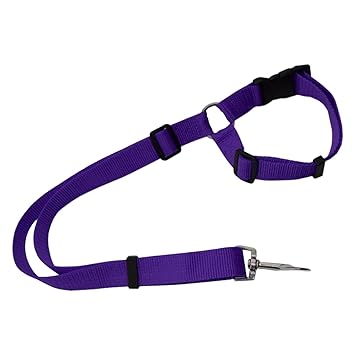 CALANDIS Dog Seat Belt Leash Car Harness Pet Seatbelt Strap Purple