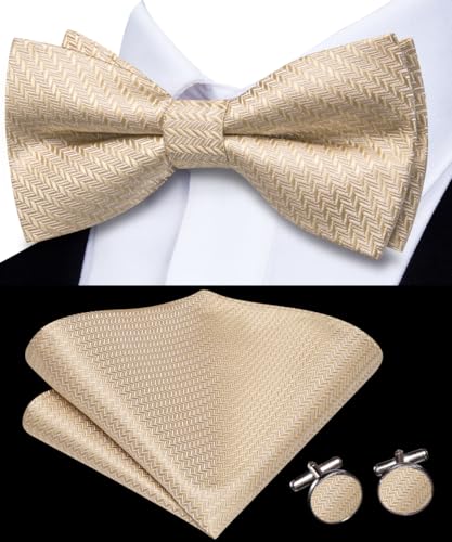 Image of Hi-Tie Bow Ties for Men Pre-Tied Pocket Square with Cufflinks Mens Bowtie Sets for Wedding Formal Party
