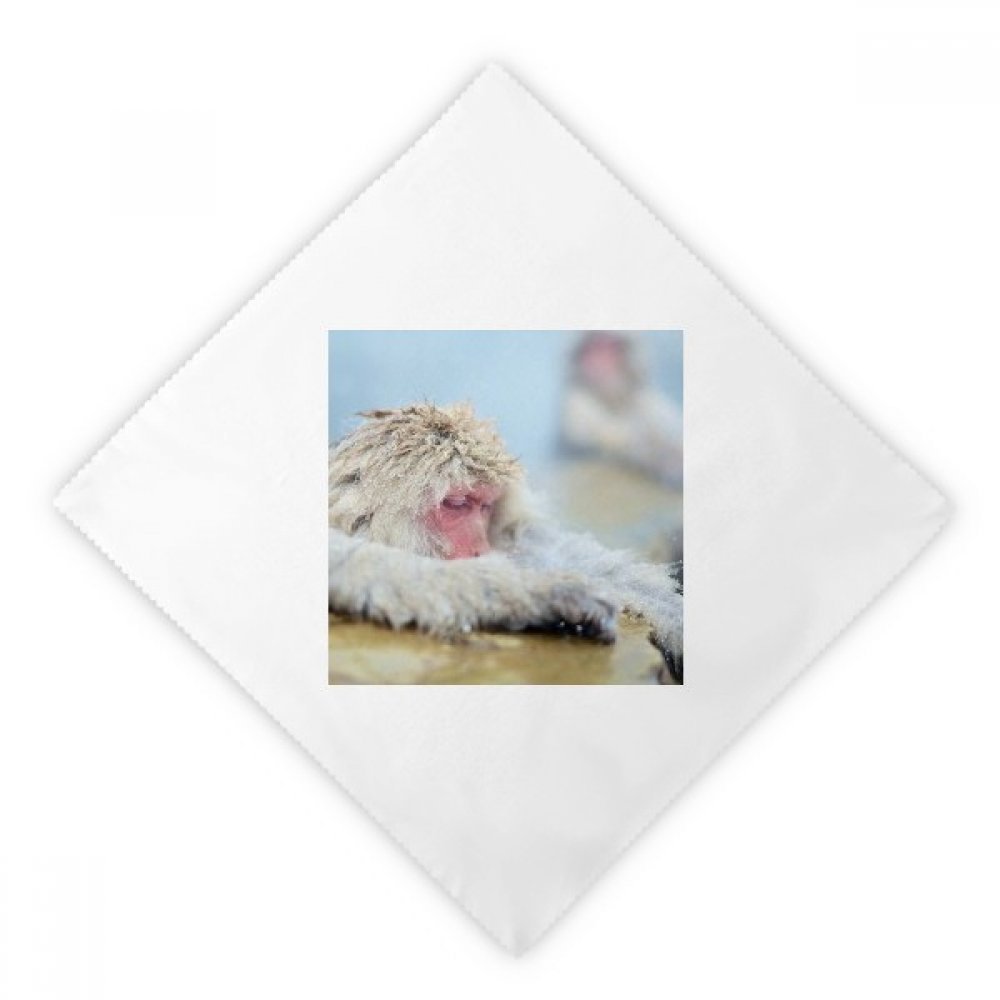 Serviettes en tissu lavable blanc animaux singe pour table basse déjeuner et dîner 2Pcs
