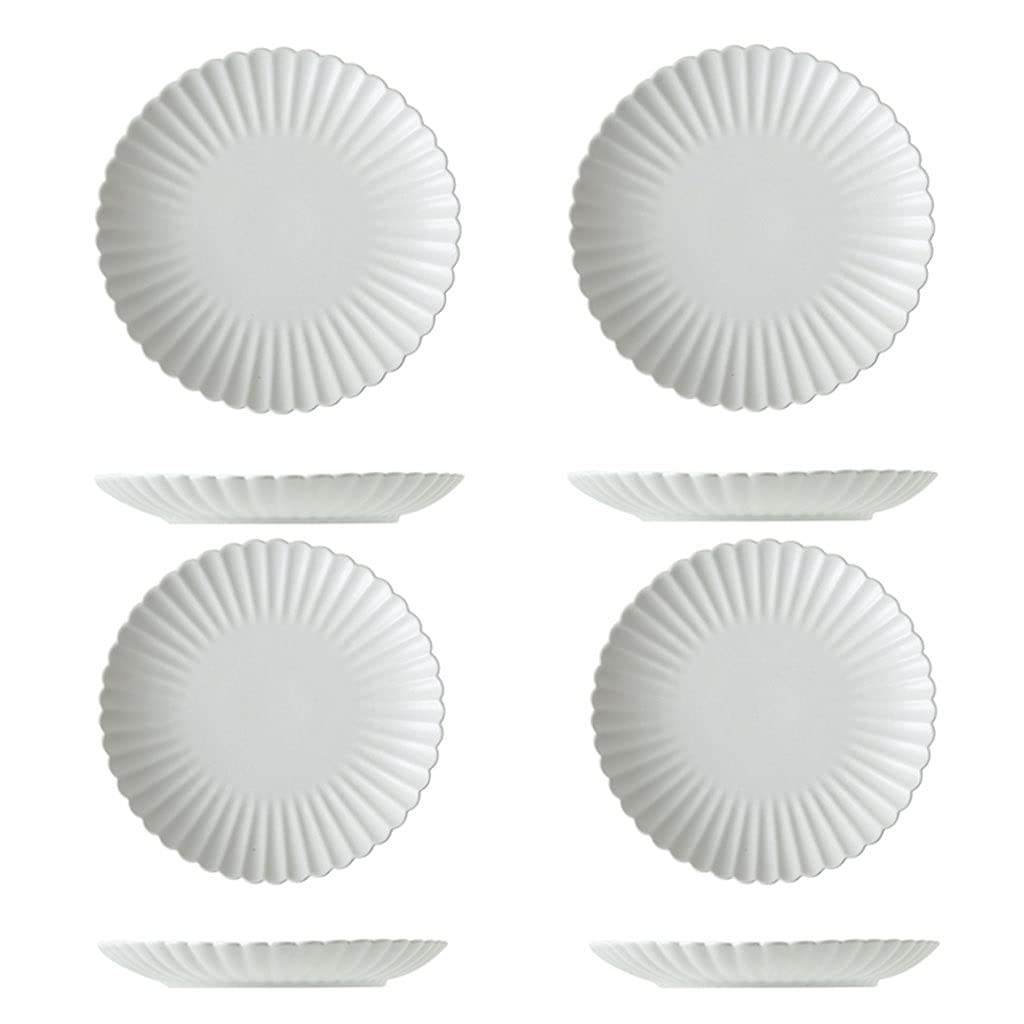 NZPOST Dinner Plate Ceramic Plates Sets 10Inch Set Of 4, The Salad Steak Dessert And Appetizer Dinner Plat