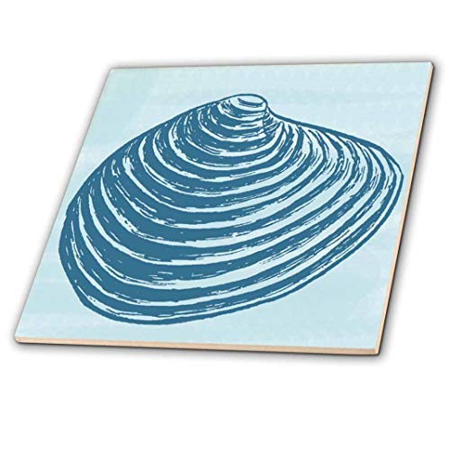 3Drose Blue Nautical Sea Shell - Ceramic Tile, 4-Inch (Ct_195673_1) #TOP18