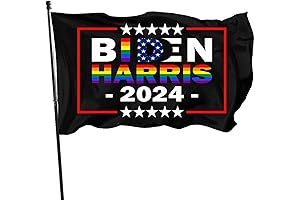 Biden Harris 2024 Rainbow Car Flag