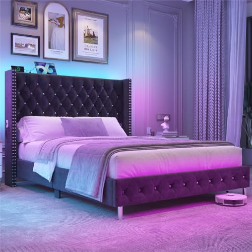 Queen LED Upholstered Bed Frame with Wingback Headboard, Velvet Diamond Button Tufted Bed Frame w/USB&Type-C Ports, Pocket and LED Lights, Wood Slats Support, No Box Spring Needed, Dark Grey