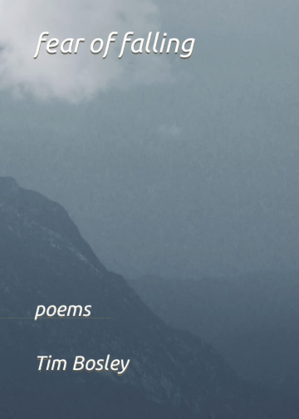 fear of falling: poems