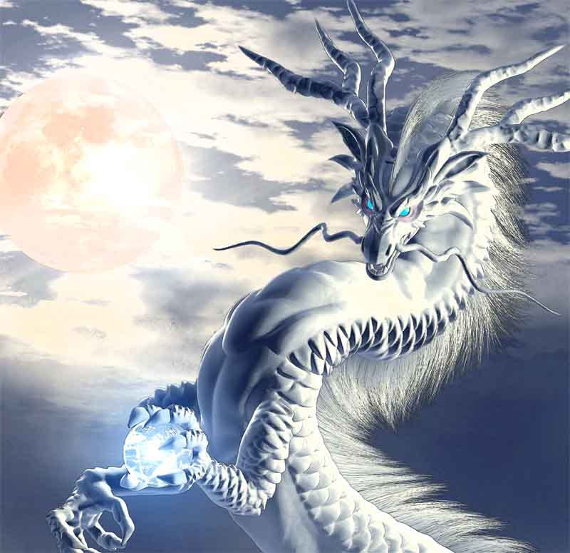 Amazon.co.jp: 龍の絵 「月雲・白龍」 A4 竜の絵 : 龍樹: ホーム