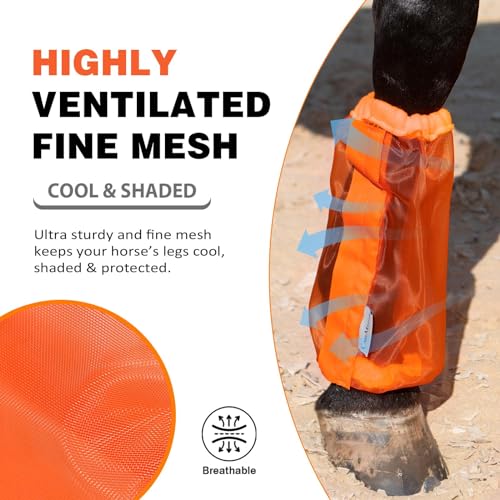 Image of Universal Size Horse Leggings Fine Mesh Greatly Reduce Stomping Breathable Horse Boots Leg Wraps (Set of 4) Orange
