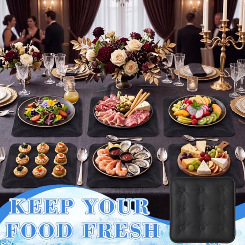 Image of LemonRoad 6 Pcs Cooling Mat for Food Buffet Table, 9 x 9 Inches Reusable Freezable Ice Mat Cooling Pads Chilled Serving Tray Charcuterie Cold Platter for Cheese, Veggie, Party, Picnic(Square,Black)