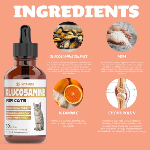 Ivitamins Glucosamine For Cats thumb #6