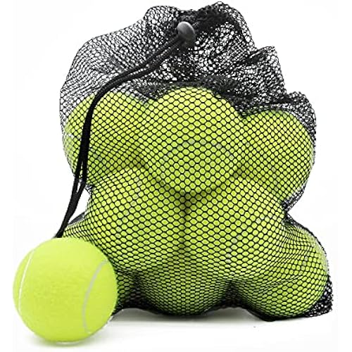 Magicorange Tennis Ball for Training & Pet Playing