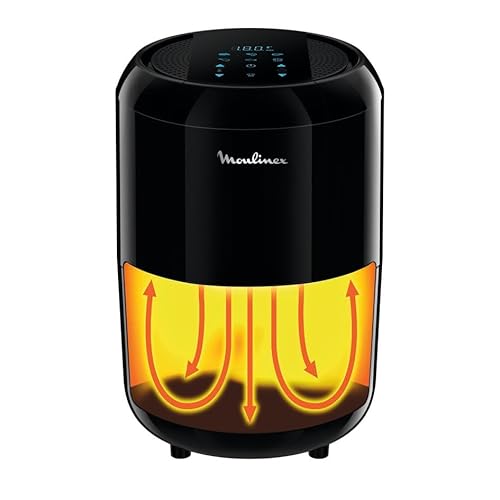 Moulinex Easy Fry Compact Precision EZ3018