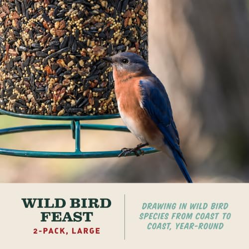 Image of Mr. Bird WildBird Feast Cylinder, 2-Pack, 4 lbs
