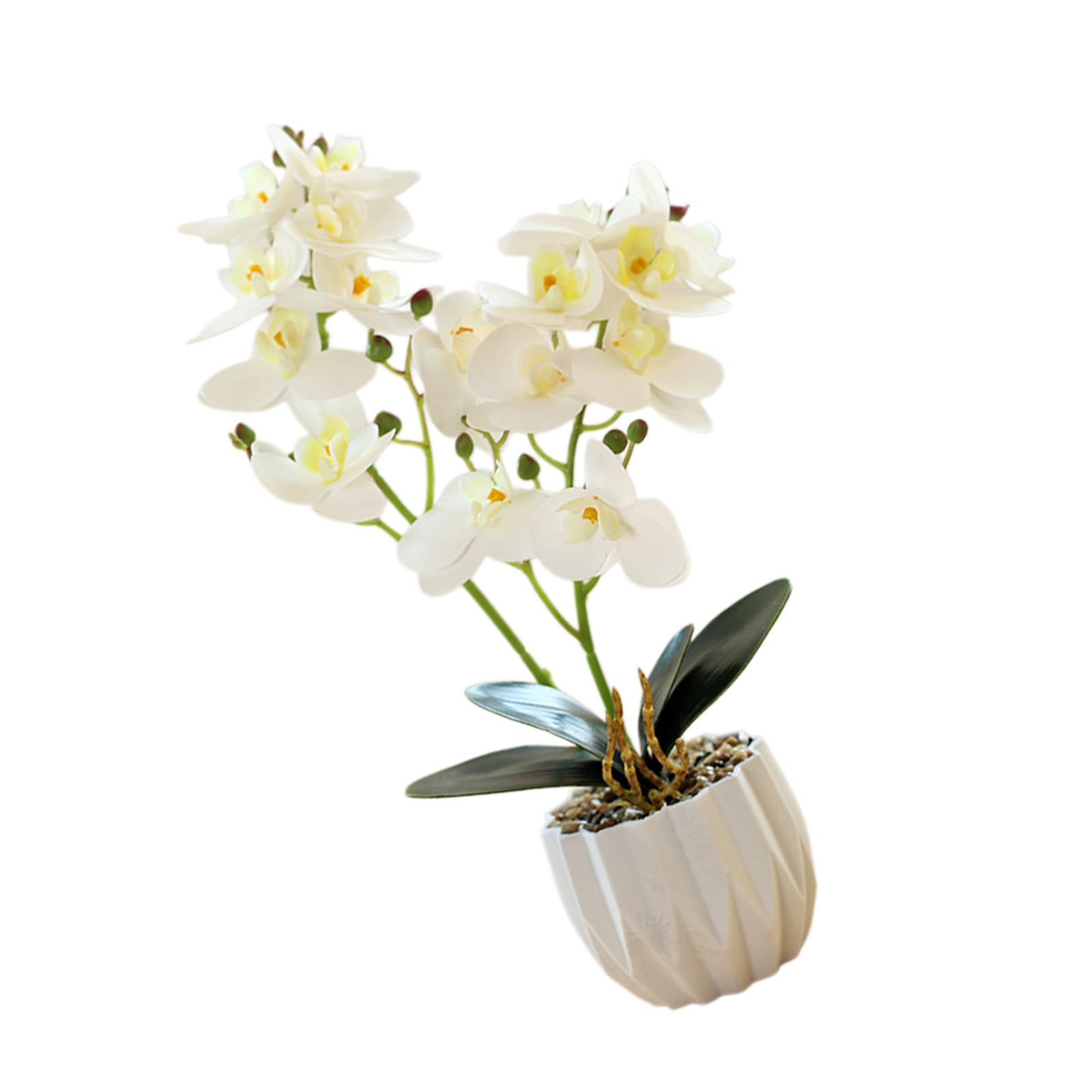 Limtula Realistic 16 Blossoms Butterfly Orchids Faux Plant with Pots for Indoor Decoration Wedding Tabletop Centerpiece Flower Beloveds