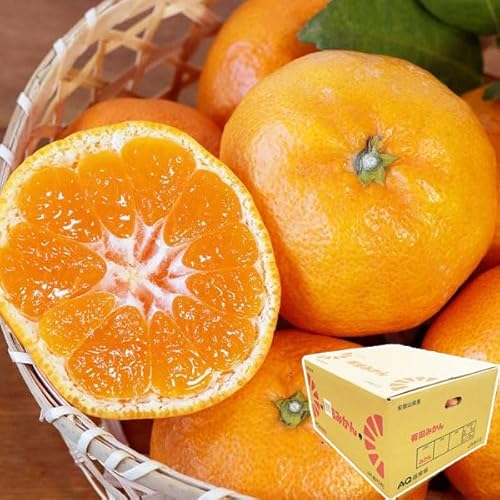 Lc ݂ 󂠂 () ƒp 10kg (10L) STCY JA肾 AQ (LcNIeB) a̎RY  JAKi AQIʏ ƒ Ε