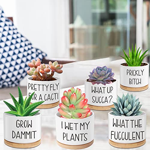 Succulent Pots 6 Pack, 3.15” Ceramic Funny Succulent Planters With Drainage And Bamboo Tray, Small Plant Pots With Plant Labels For Indoor Outdoor Plant, Birthday Gifts For Women - Plants Not Included #TOP2