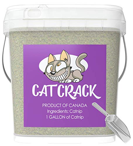 Cat Crack Catnip, Premium Blend Safe for Cats, Infused with Maximum Potency Your Kitty is Sure to Go Crazy for (1 Gallon Bucket)