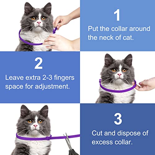 Purple Flea and Tick Collar for Cats & Kittens, Cat Flea Collar 2 Pack Made with Plant Based Essential Oil, 8-Month… - Image 4