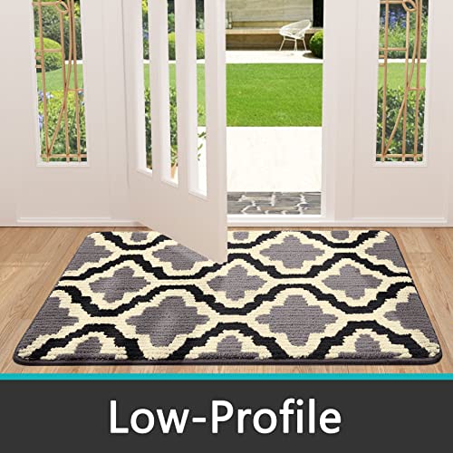 Kitinjoy Indoor Door Mat, Non-Slip, Absorbent, Dirt Resist, Entryway Mat, Low-Profile Inside Welcome Front Doormats For Entrance(32X20 Inches, Grey) #TOP3