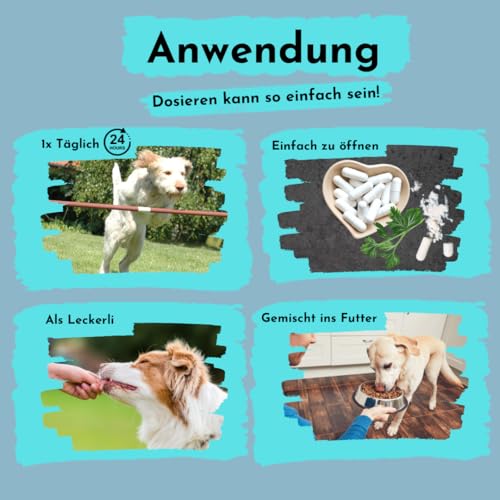 Magnesium für Hunde - kann zur Stressreduzierung und Entspannung beitragen, ohne unerwünschte Zusätze in Premium Qualität, kann einen lockeren Muskeltonus und das Nervensystem unterstützen