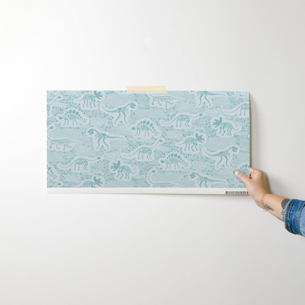 Peel & Stick Wallpaper Swatch - Dino Fossil Stegosaurus Triceratops Diplodocus Slate Grey Geologist T-Rex Dinosaur Fossils Skeletons Custom Removable Wallpaper by Spoonflower